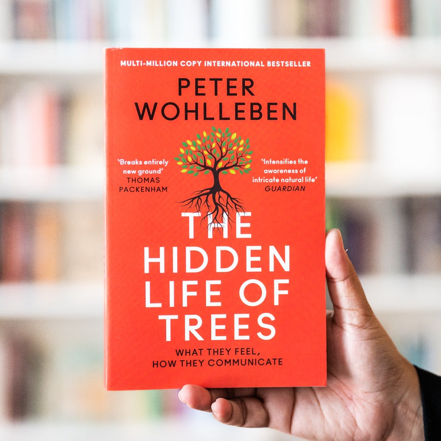 Hidden Life of Trees、mySite、topwebapps