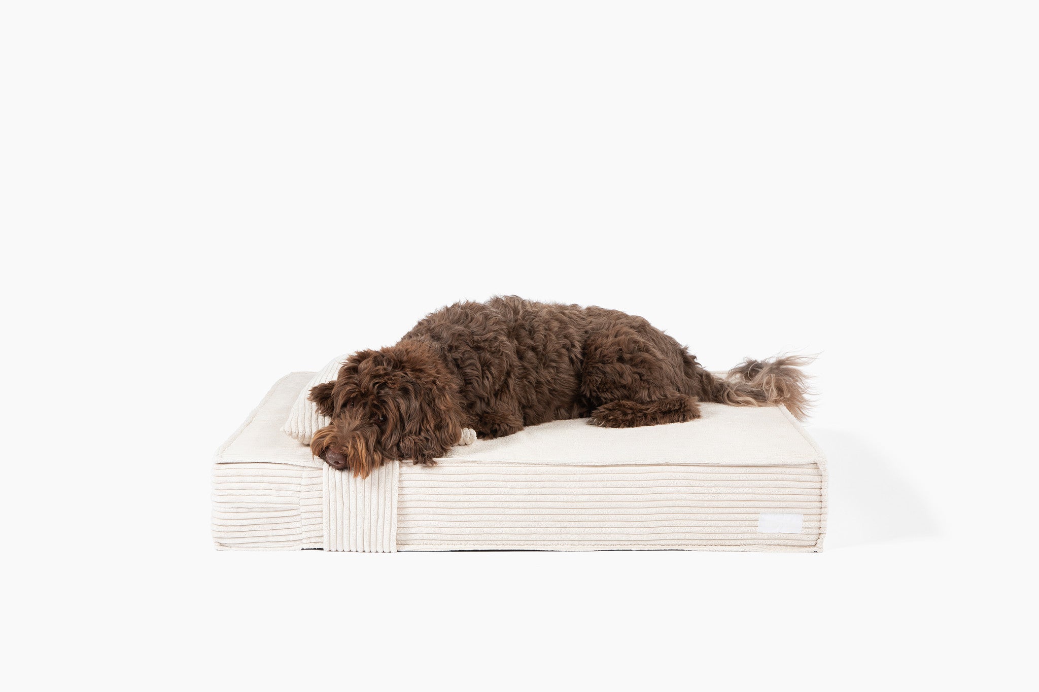  Orthopedic Pet Bed、mySite、sugarbowlscore