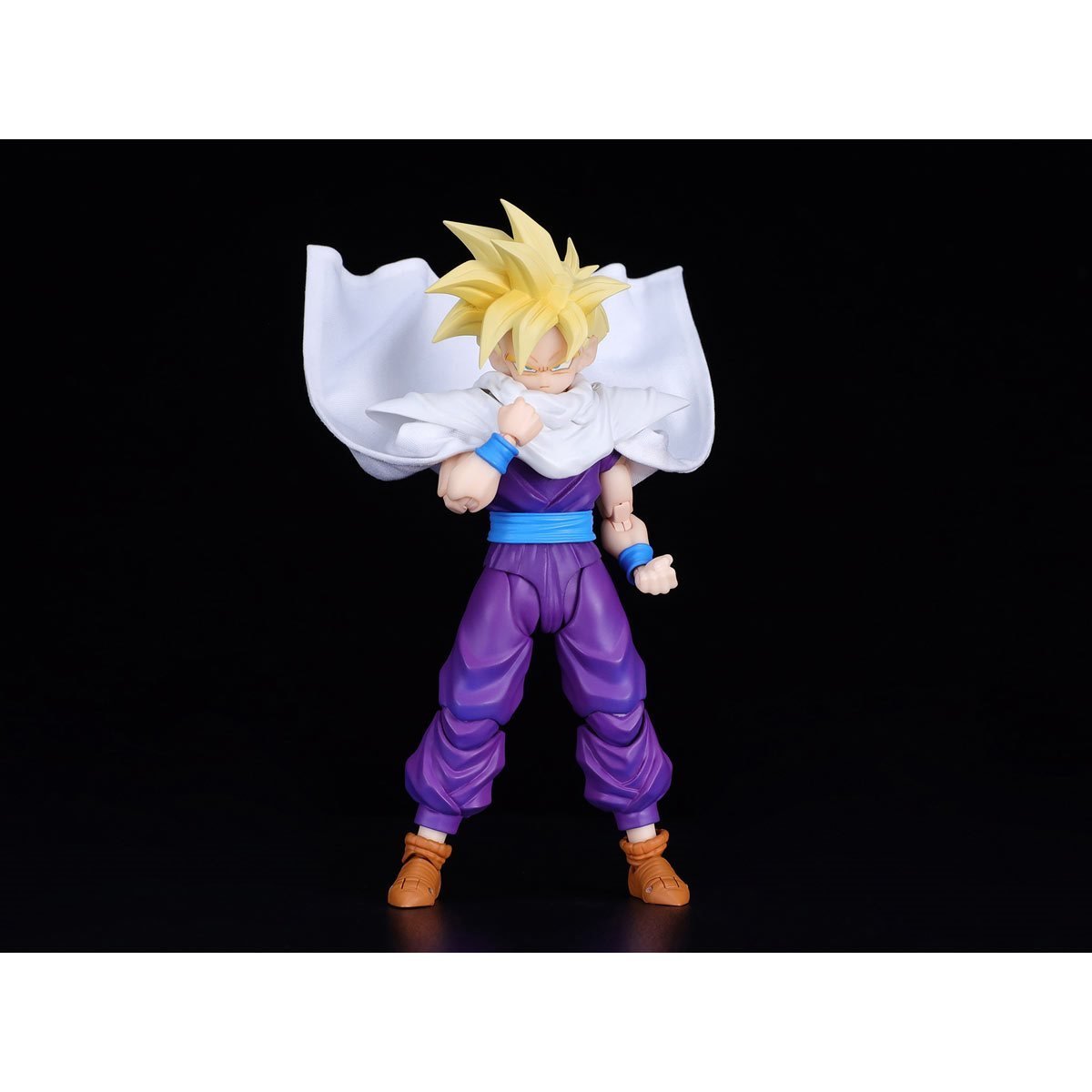 S.H. Figuarts Dragon Ball Z Super Saiyan Son Gohan (The Warrior Who Surpassed Goku)、mySite、hgirdovlk