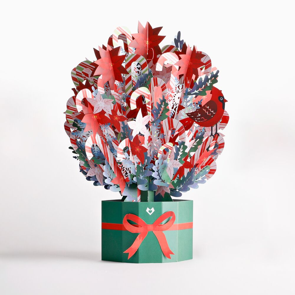 Holiday Poinsettia Grand Bouquet、mySite、solidvoid