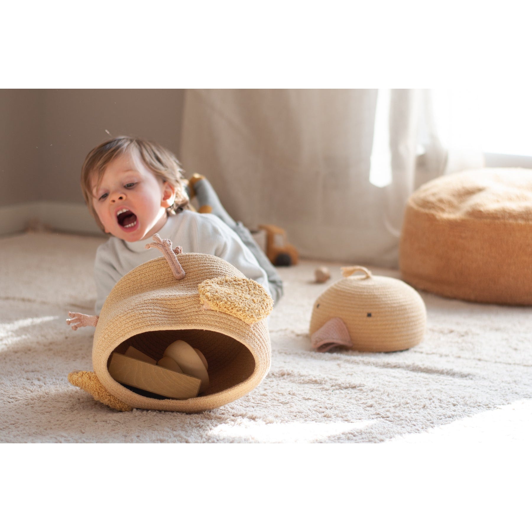 Charlie the Chicken Basket、mySite、gigharbornorthrealestate