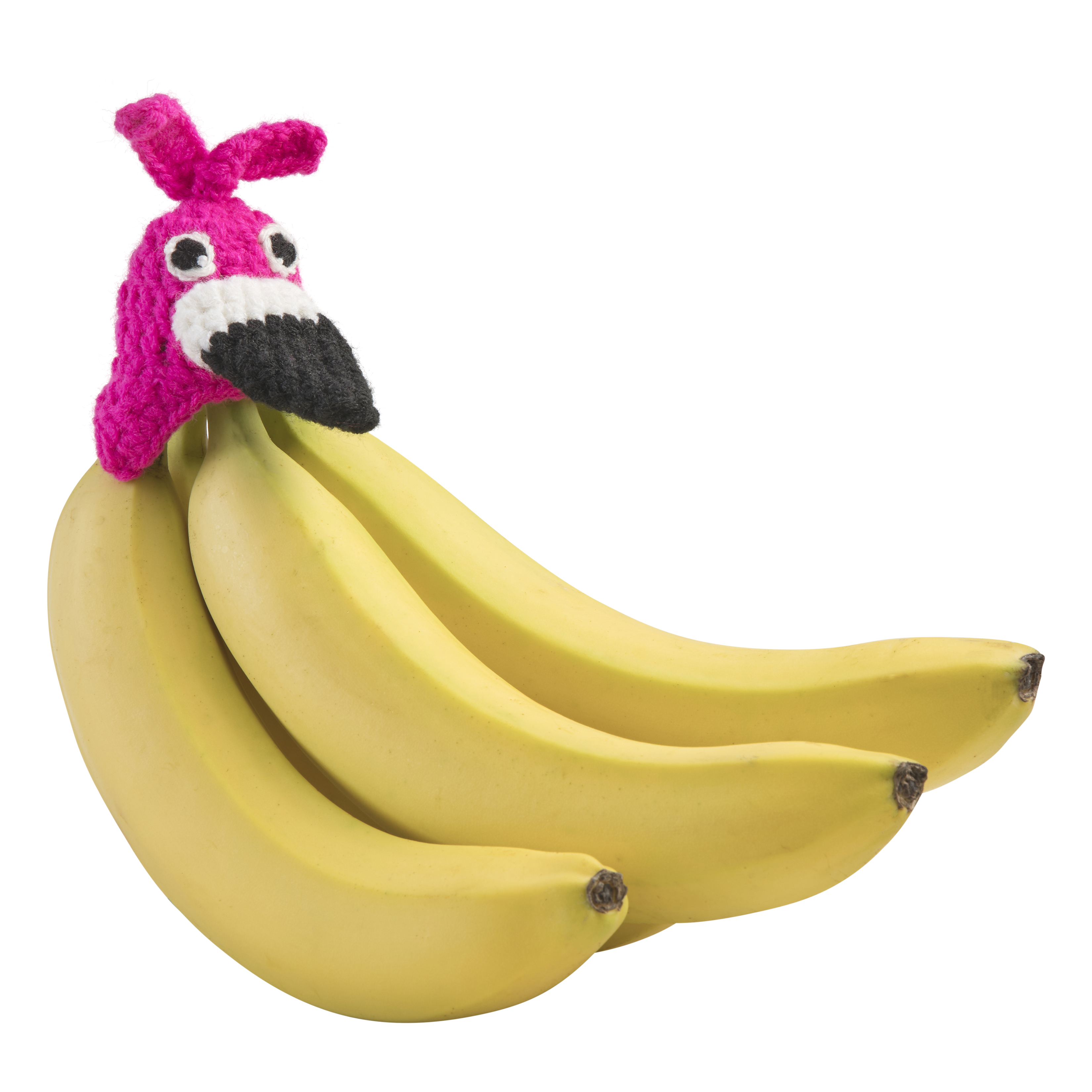 Flamingo Nana Hat | Includes 2 Stretchy Silicone Caps with Magnets、mySite、hinf8tx79