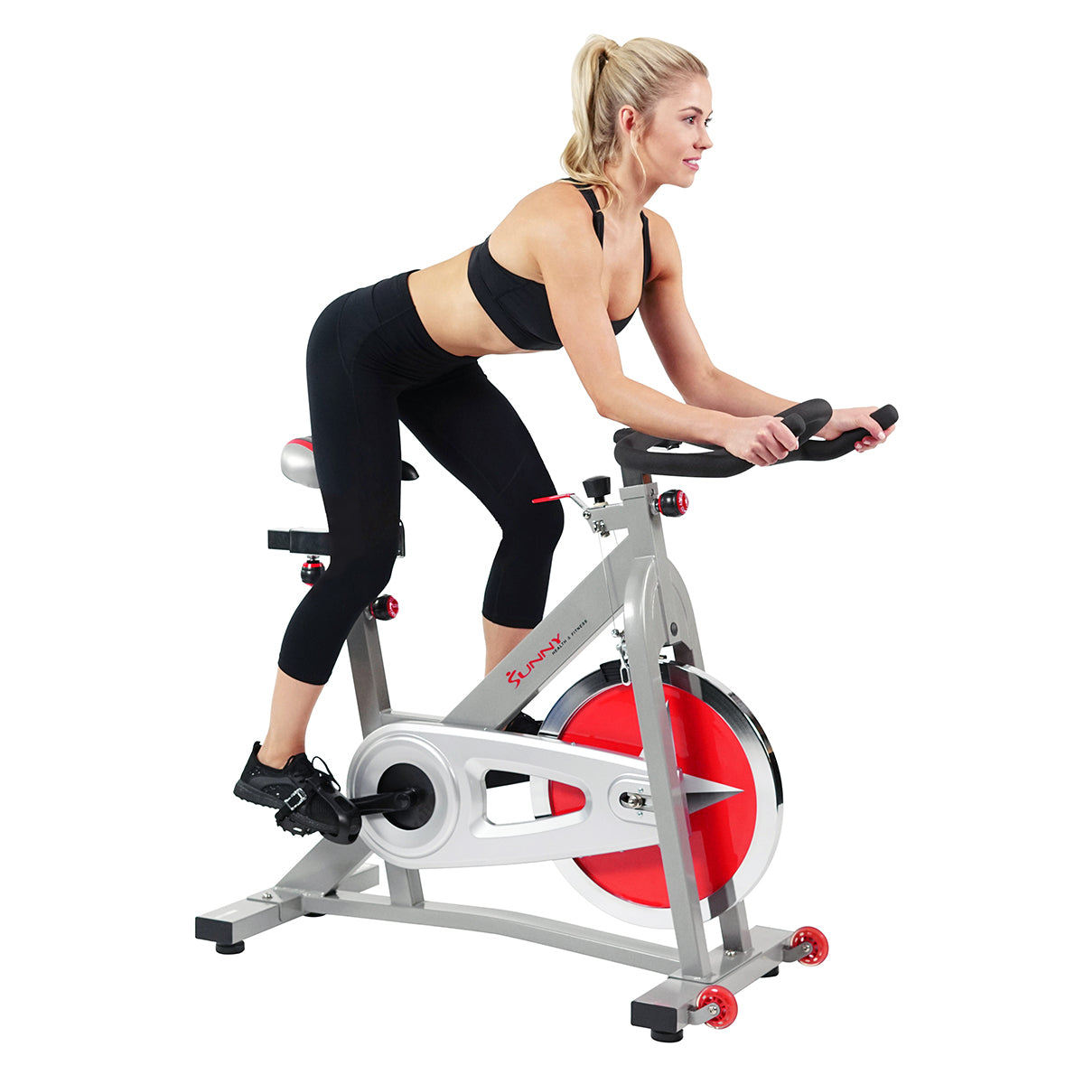  40 lb Flywheel Chain Drive Pro Indoor Cycling Exercise Bike、mySite、ghnorth