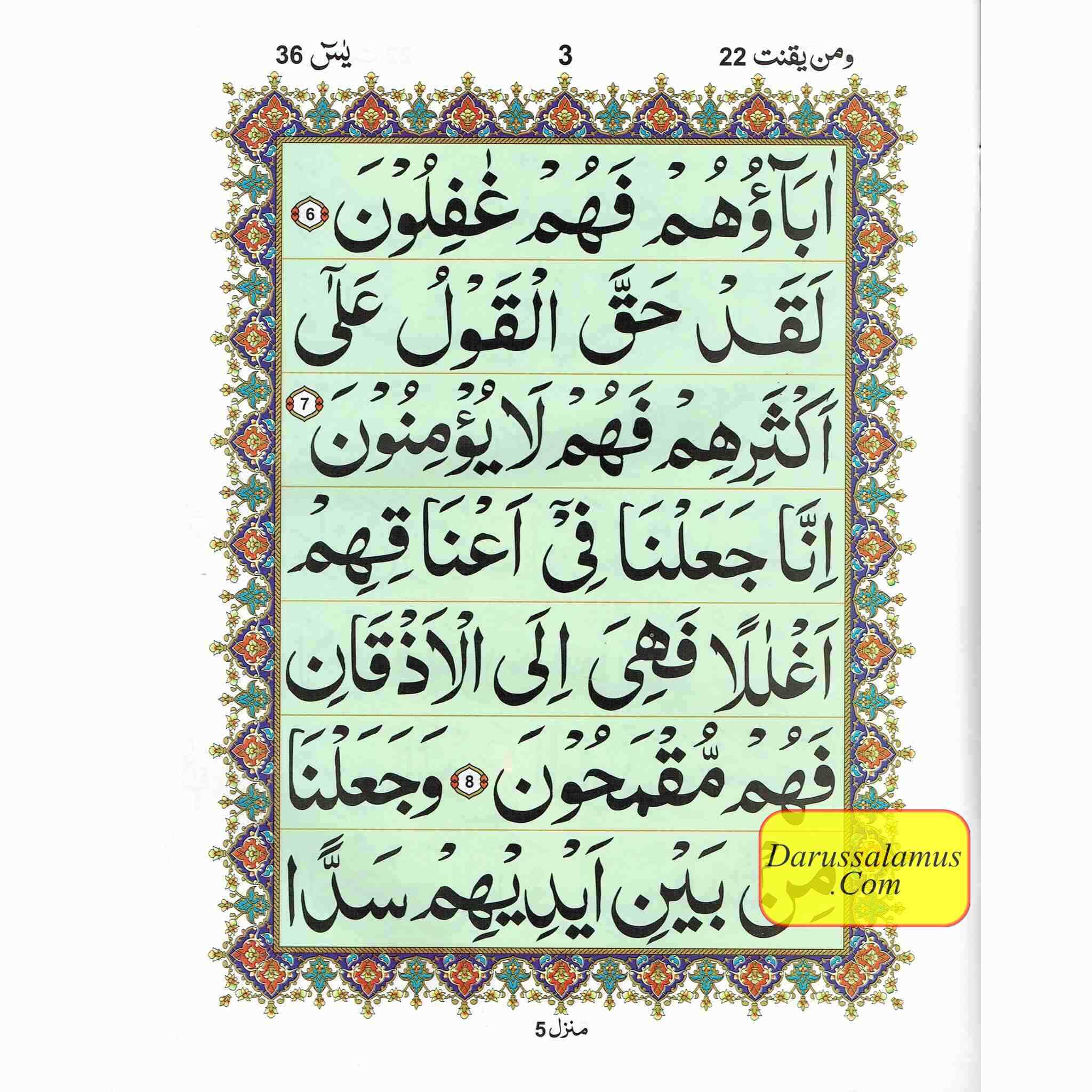 Sura Yaseen Large Size ( Extra Large Words) Persian ,Pakistani ,Indian Script, Ref 326、mySite、topwebapps