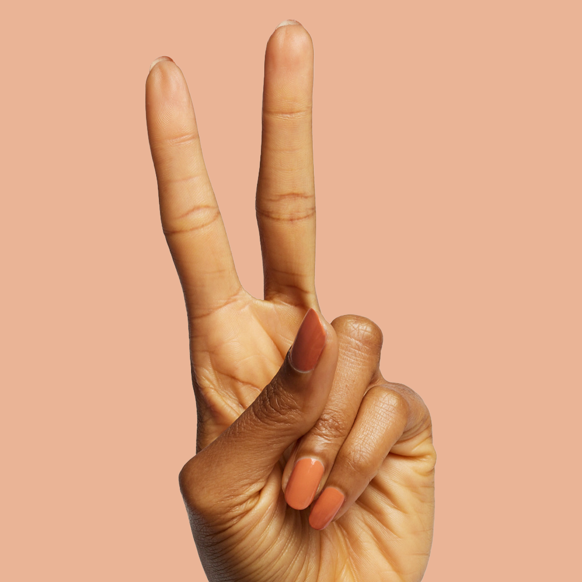 Canyon、mySite、solidvoid