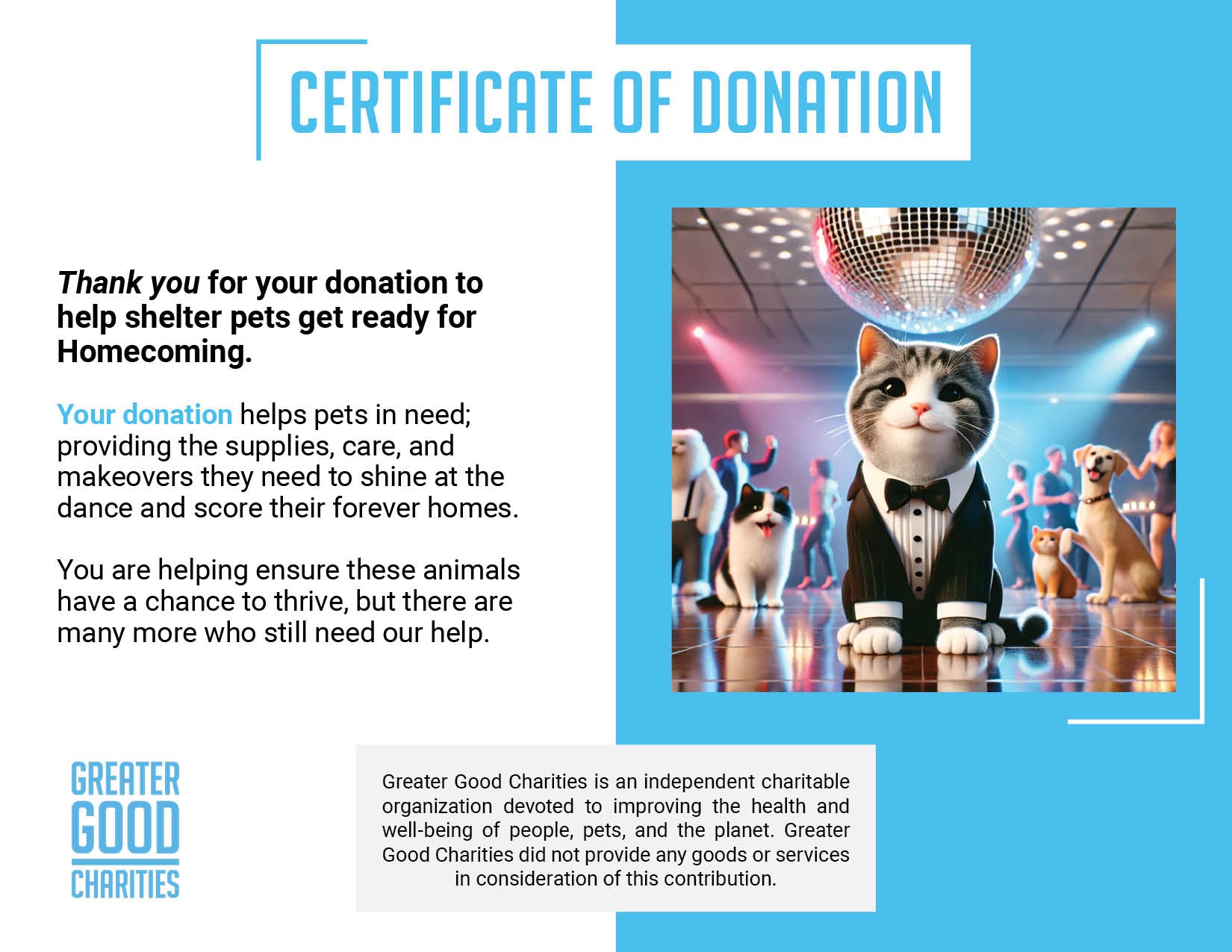 Help Shelter Pets Get Ready for Their Homecoming、mySite、camillekostekn