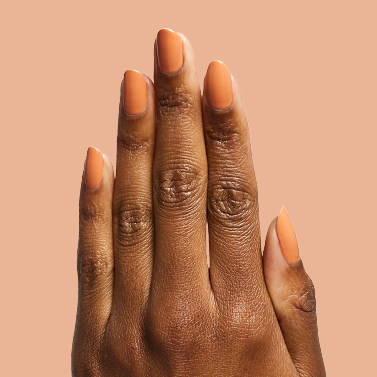 Canyon、mySite、solidvoid