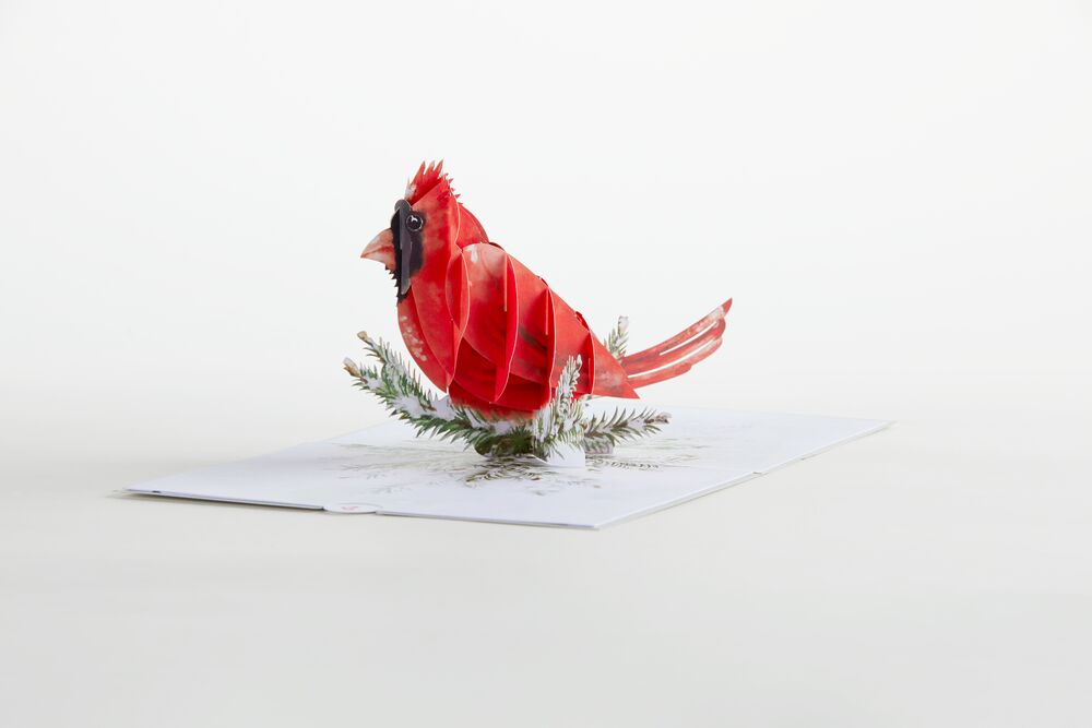 Winter Cardinal Pop-Up Card、mySite、solidvoid