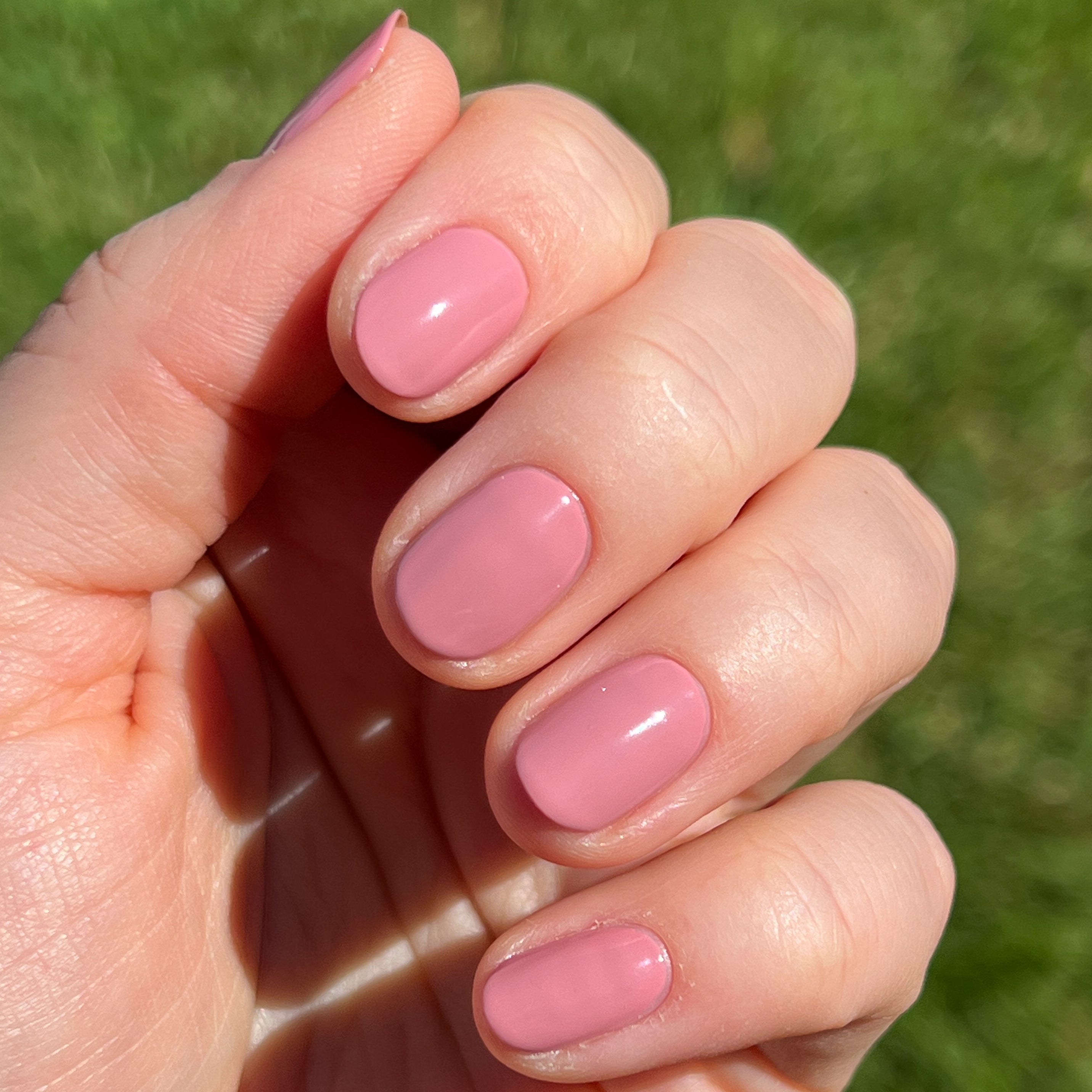 Yogurt Parfait、mySite、solidvoid