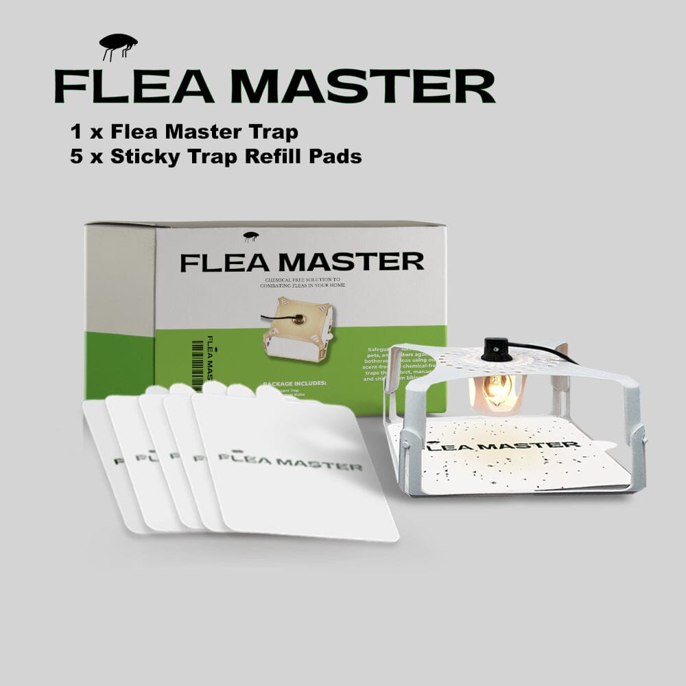 Flea Master、mySite、lovesweatpilates