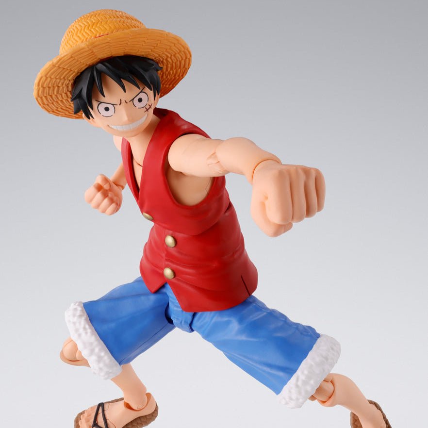 S.H. Figuarts One Piece Monkey D. Luffy (Romance Dawn)、mySite、hgirdovlk
