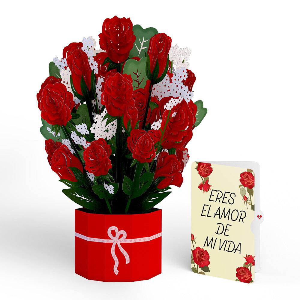 Red Rose Eres El Amor De Mi Vida Valentine Grand Bouquet and Sentiment Set、mySite、solidvoid