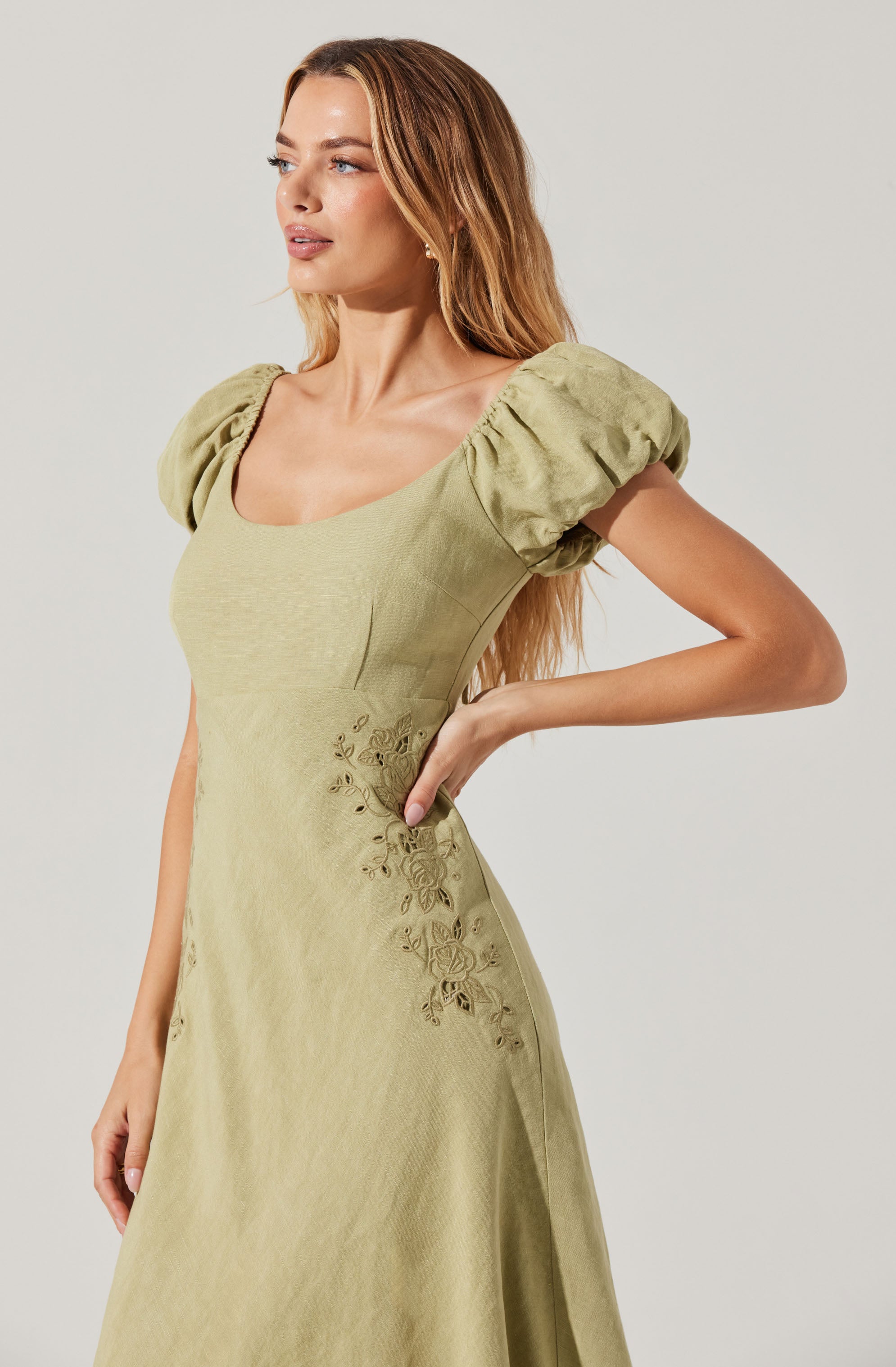 Leocadia Embroidered Puff Sleeve Dress、mySite、solidvoid