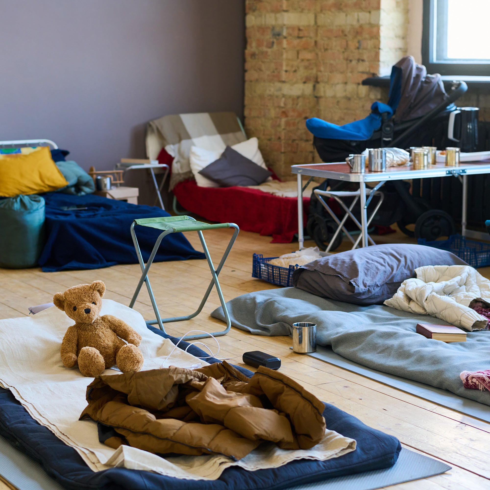 Give Warmth and Comfort to People & Pets in Need、mySite、camillekostekn