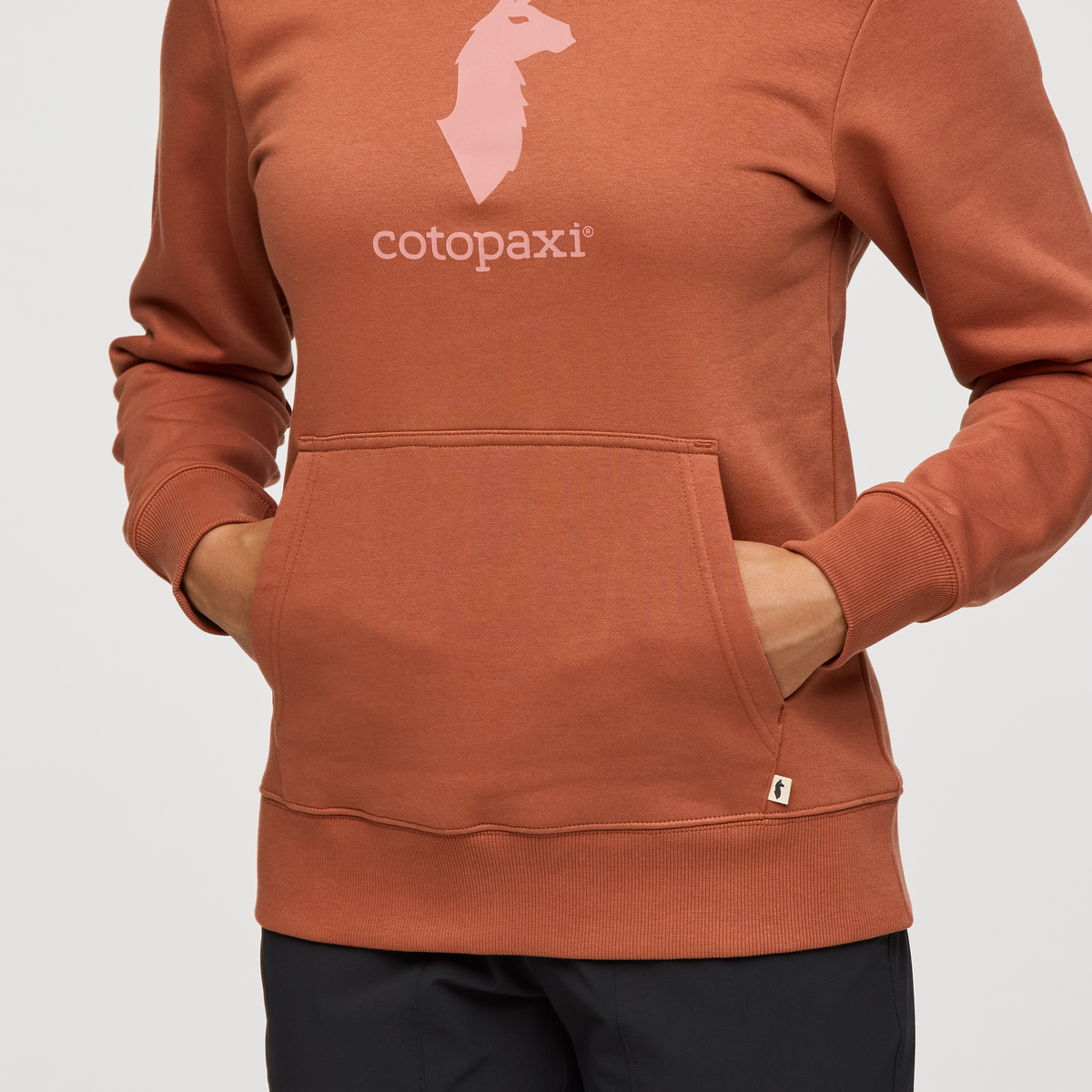 Cotopaxi Llama Pullover Hoodie - Women's、mySite、shCotopaxi Llama Pullover Hoodie - Women's、mySite、glenpowelloop_name