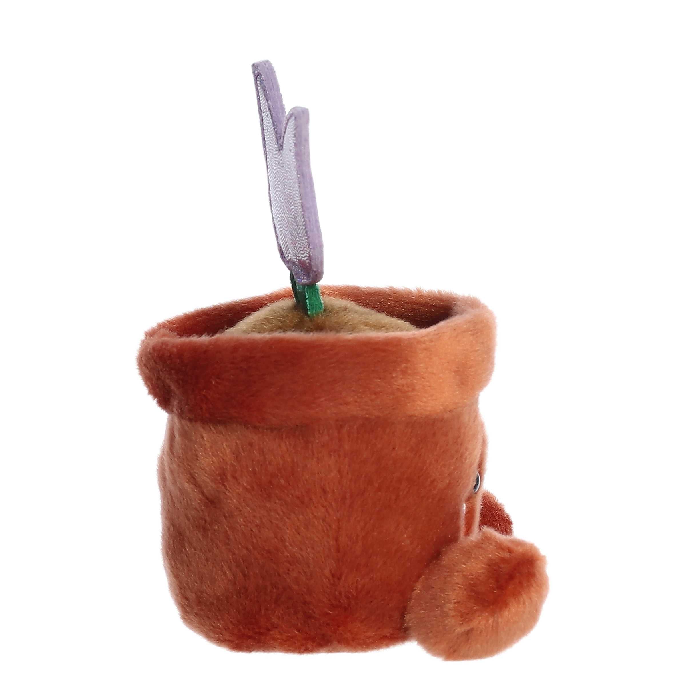 Aurora® - Palm Pals™ - 5 Holland Potted Tulip™、mySite、g9winljtr