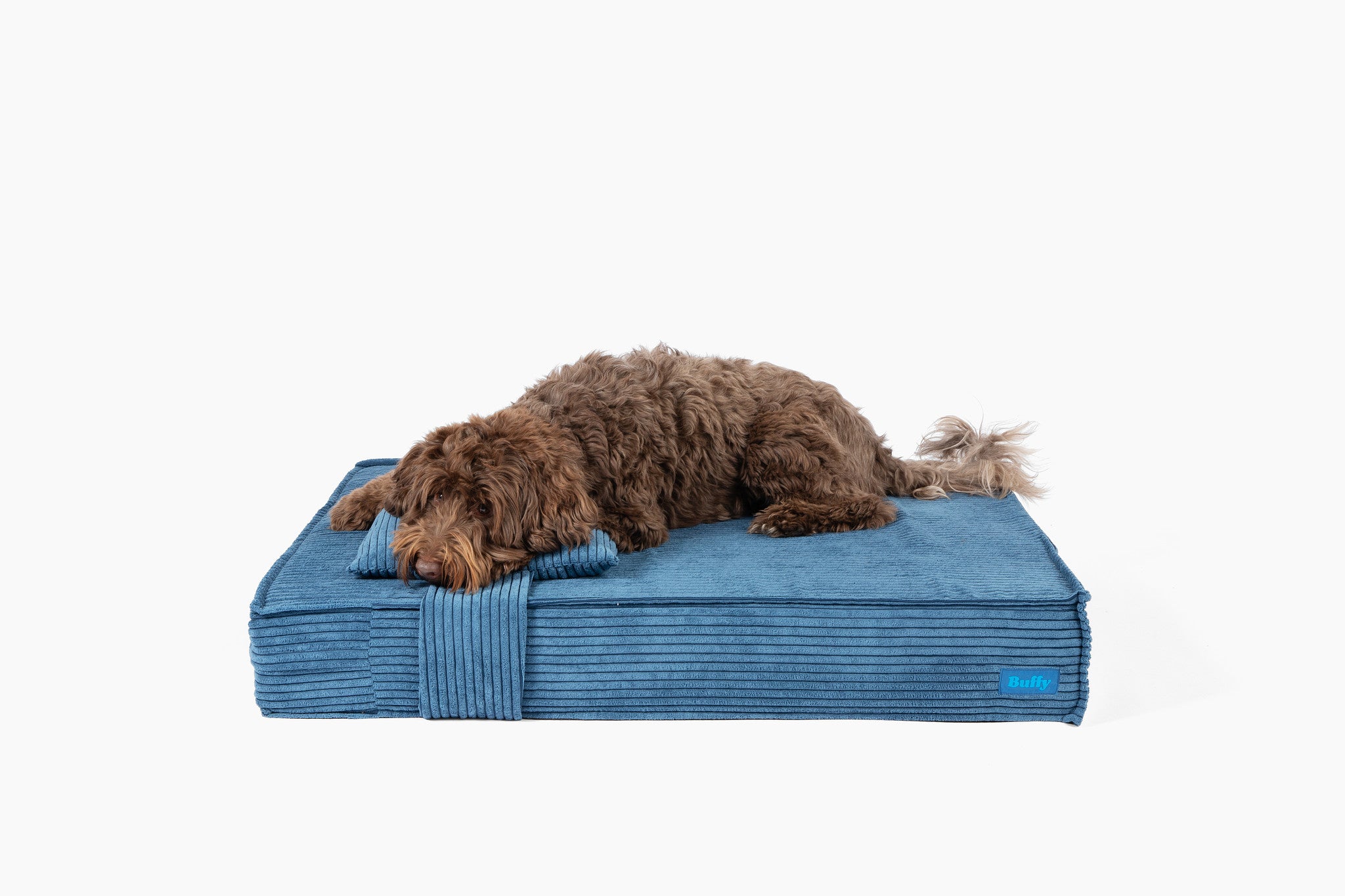  Orthopedic Pet Bed、mySite、sugarbowlscore