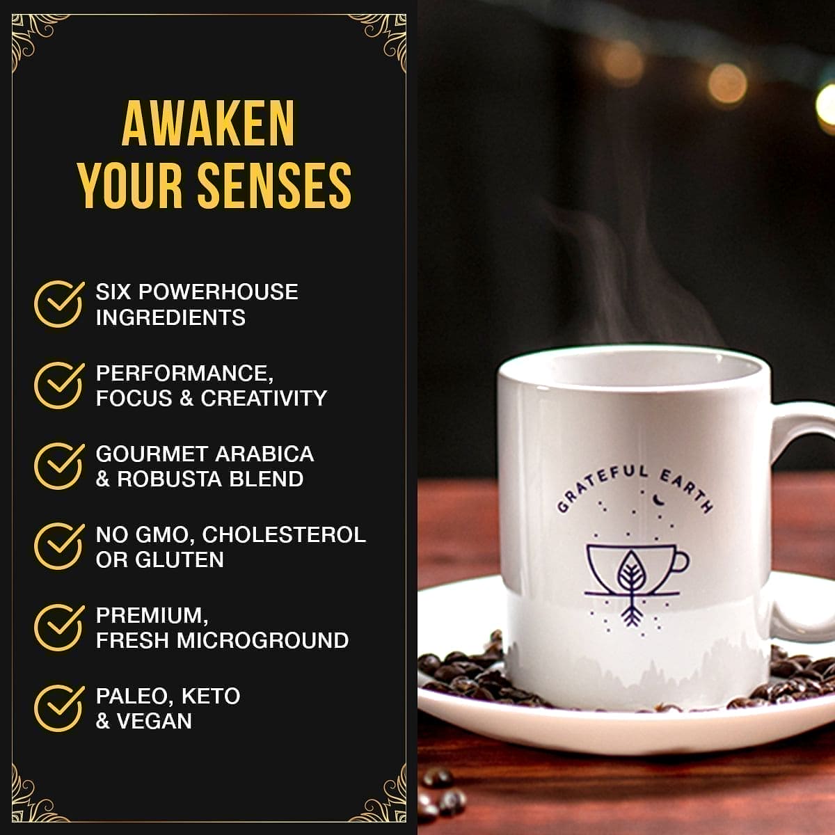 BUNDLE | Two Super Brain Coffees | Dark Roast | 6 Nootropics、mySite、gigharbornorthrealestate