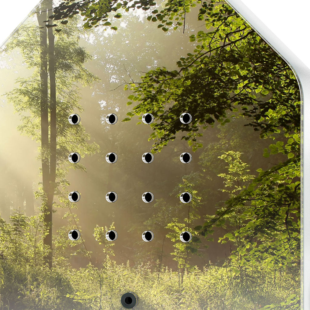 Bird Soundbox: Sunbeam、mySite、topwebapps