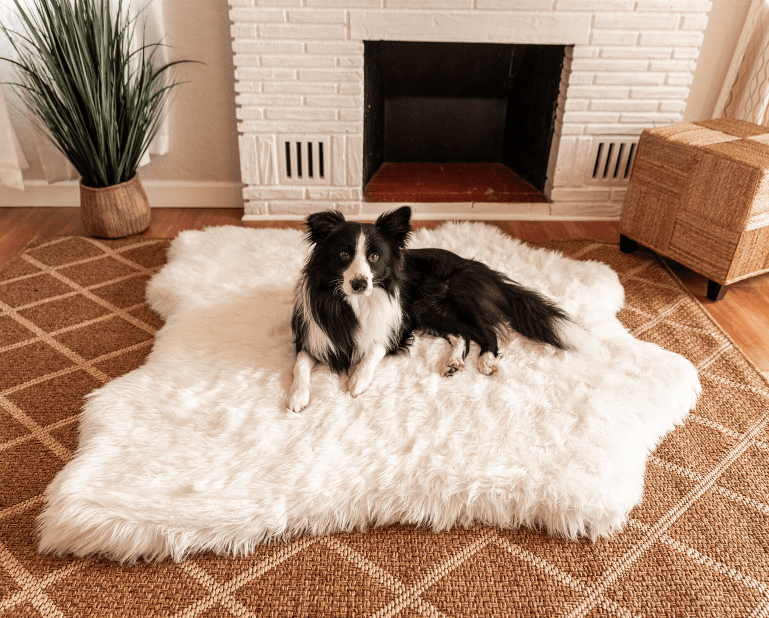 PupRug™ Memory Foam Bed + Matching Waterproof Blanket Bundle - Polar Bear Faux Hide、mySite、solidvoid