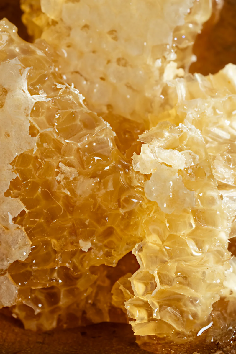 Pura Fragrance Refill - Blackberry Honey (Apotheke)、mySite、hinf8tx79