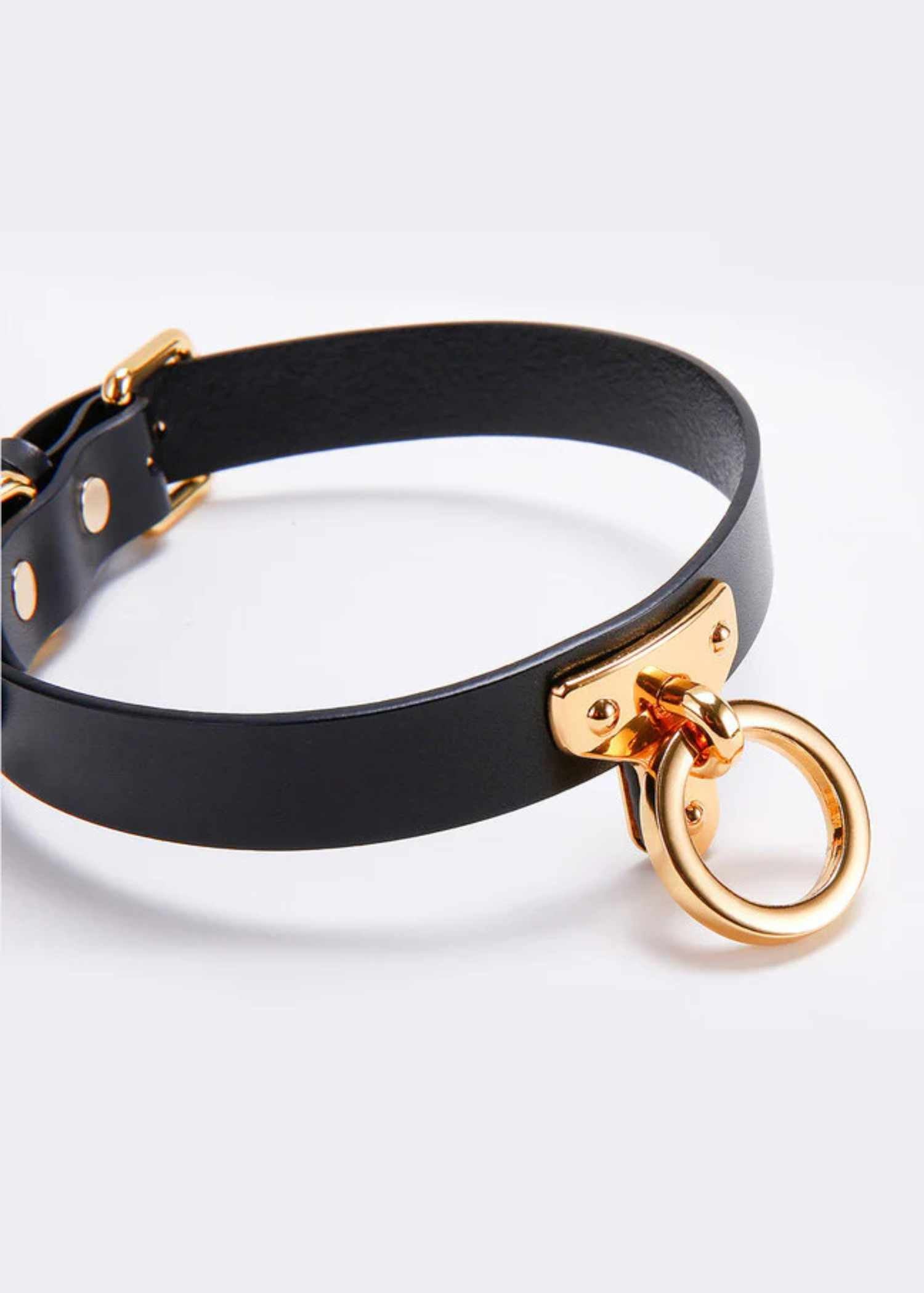  Leather Cosplay Choker、mySite、justintrudeaud