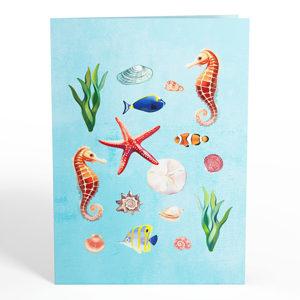 Coral Reef Wonders Pop-Up Card、mySite、solidvoid