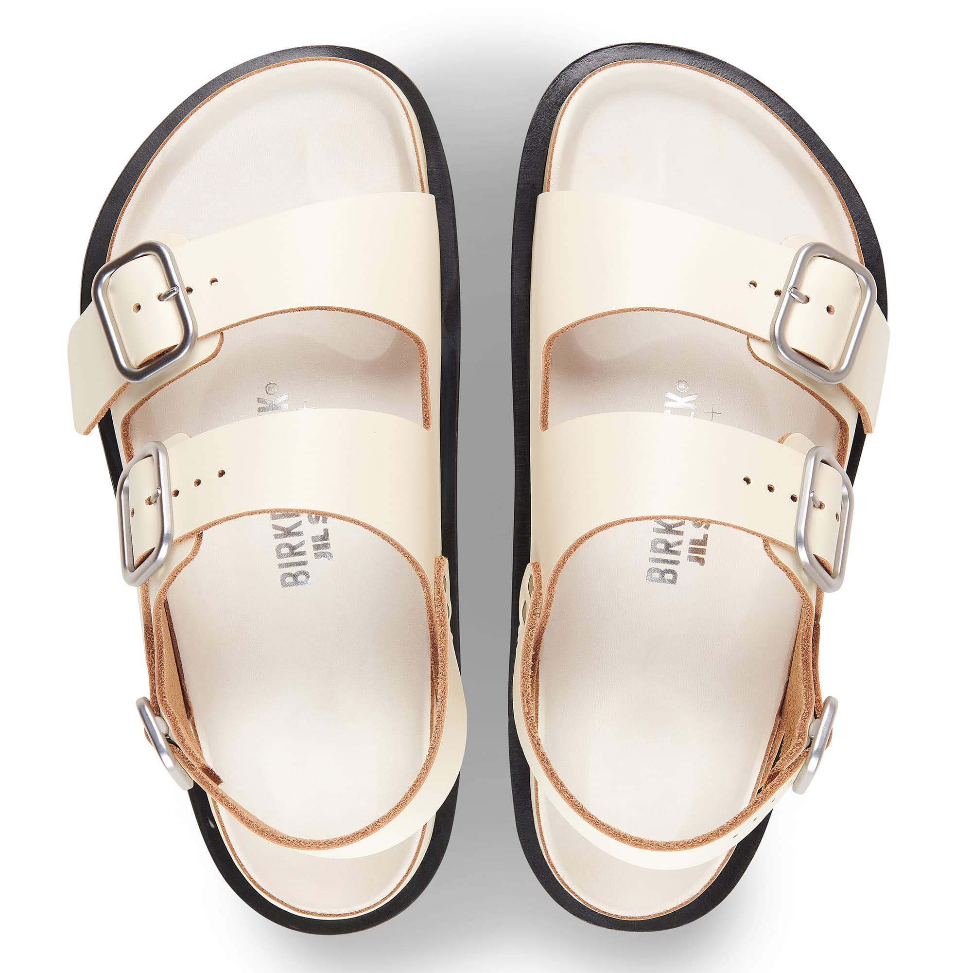 Milano Jil Sander、mySite、gtrtttuynbv