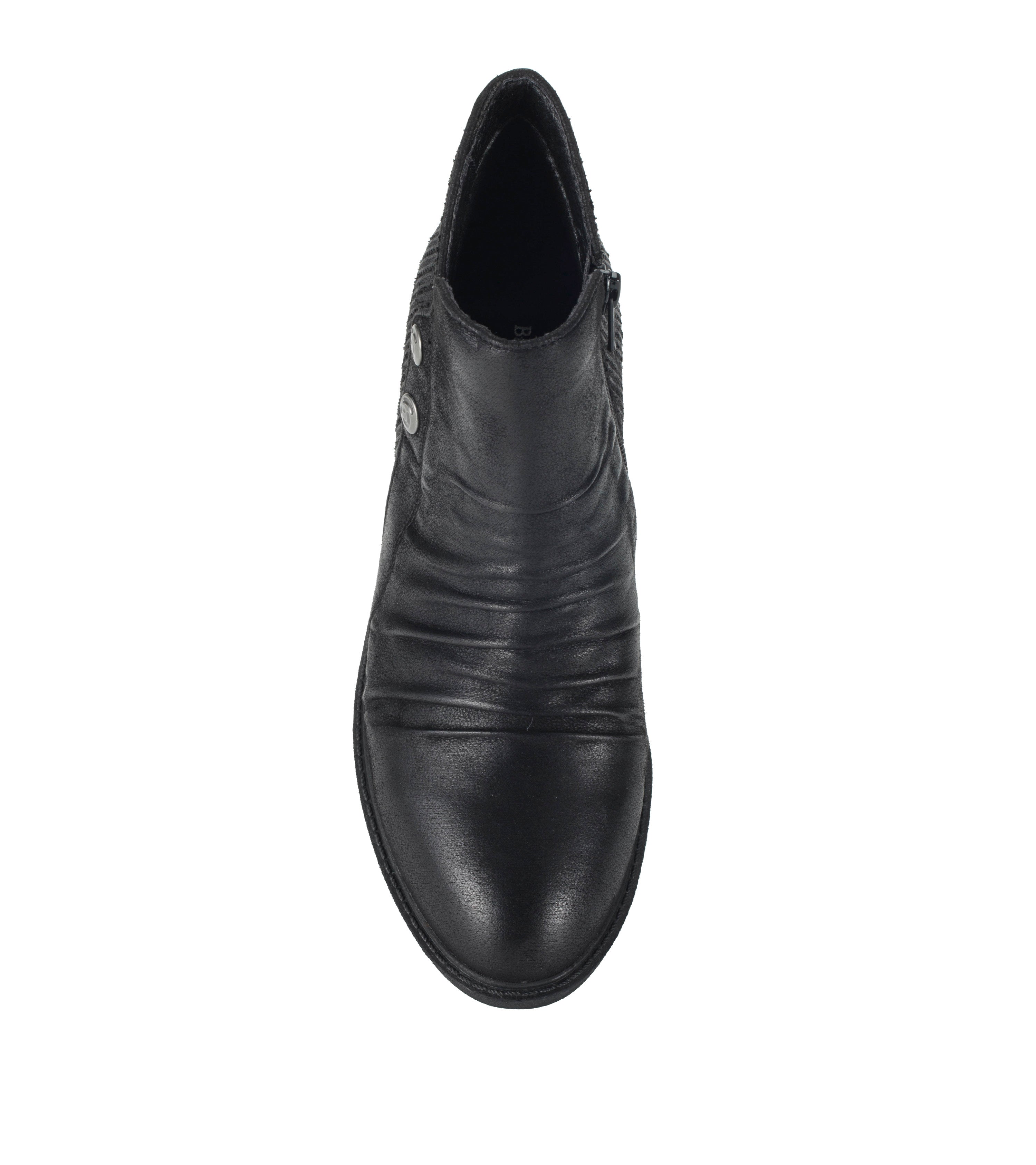  Stevie Bootie、mySite、preschool7hills