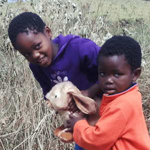 Lop-eared Rabbit Life Size Realistic、mySite、g9winljtr