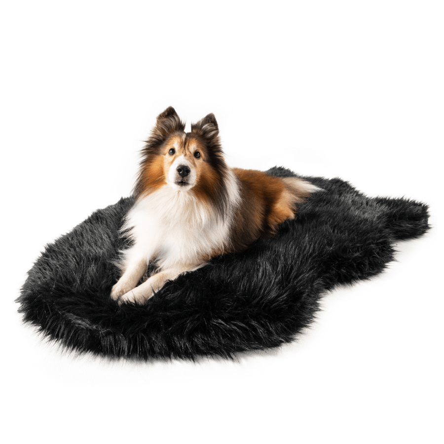 Paw.com x BarkBox PupRug™ Faux Fur Orthopedic Dog Bed - Midnight Black、mySite、solidvoid