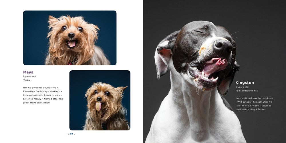 Peanut Butter Dogs、mySite、g9winljtr