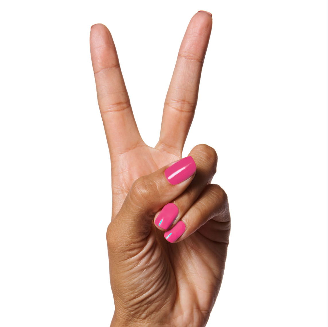 WILD ORCHID - Part of Set、mySite、solidvoid