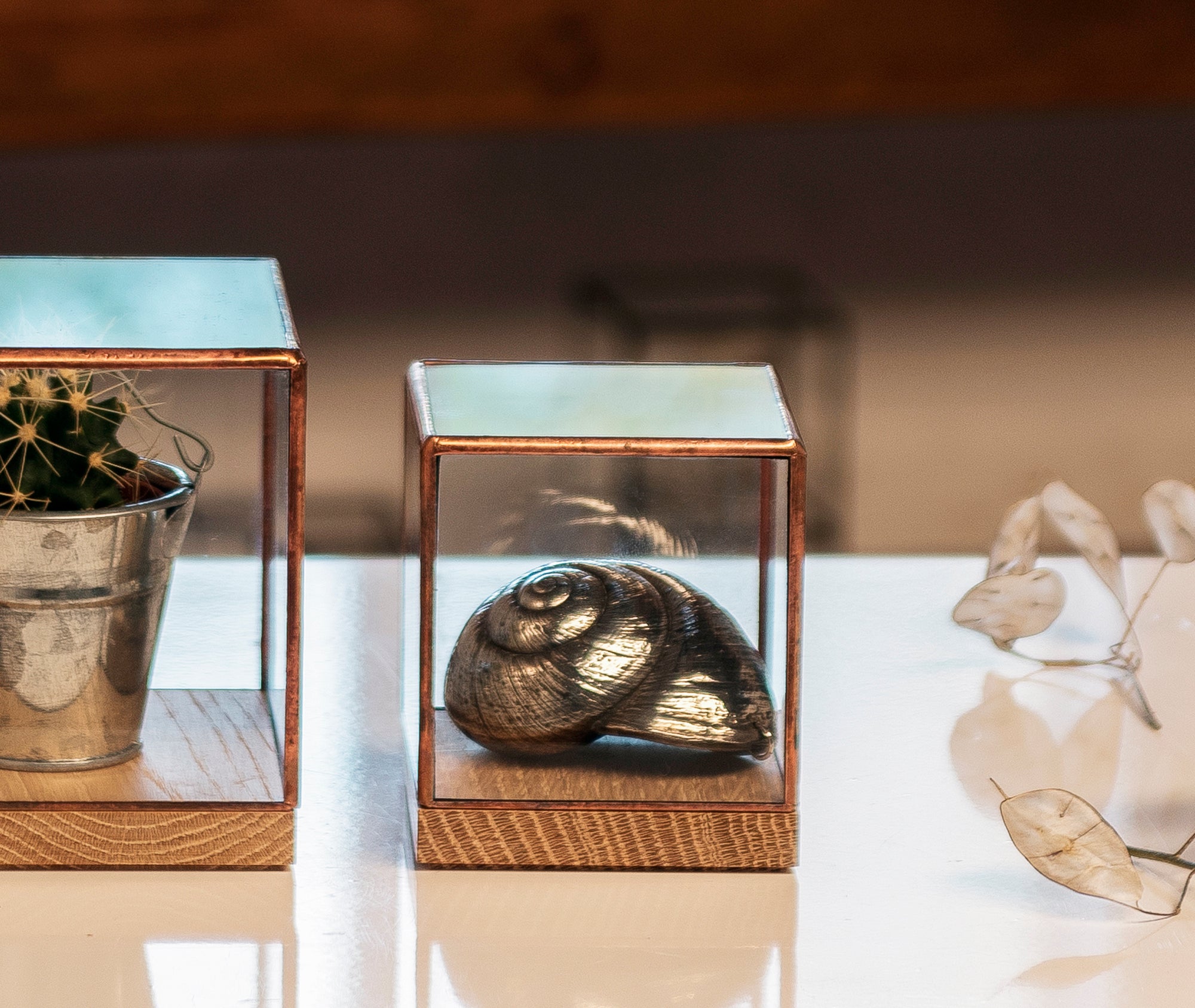 Showcase 80、mySite、topwebapps