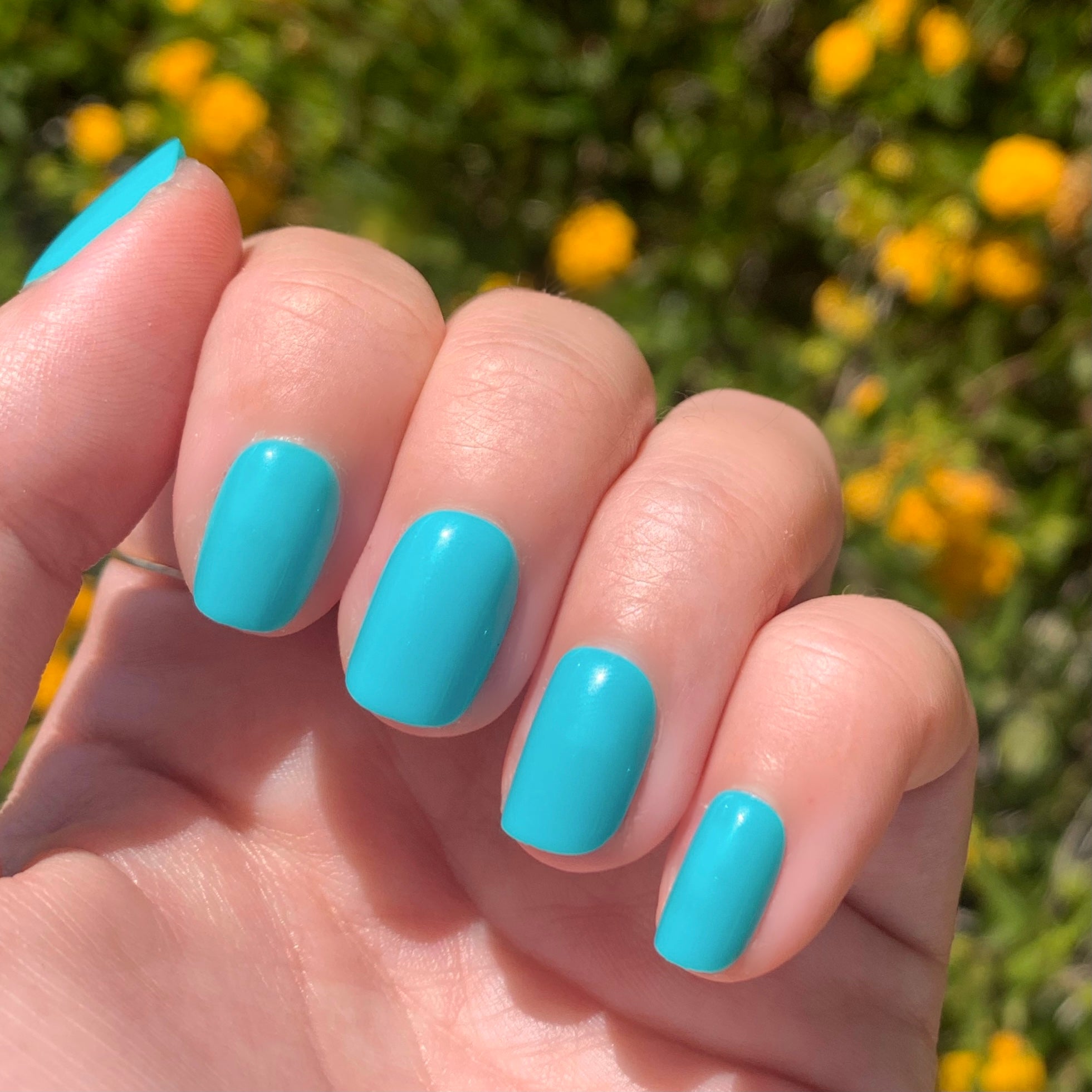 Jewel Pop | Squoval | Extra Short、mySite、solidvoid