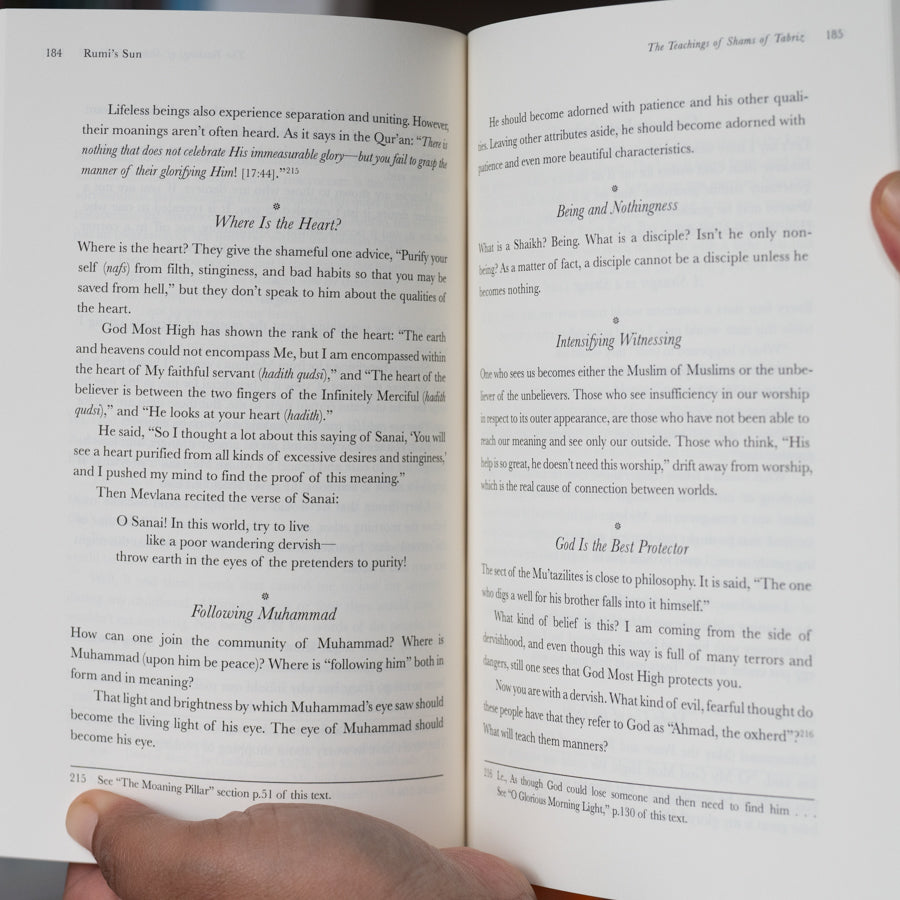 Rumi's Sun: The Teachings of Shams of Tabriz、mySite、topwebapps