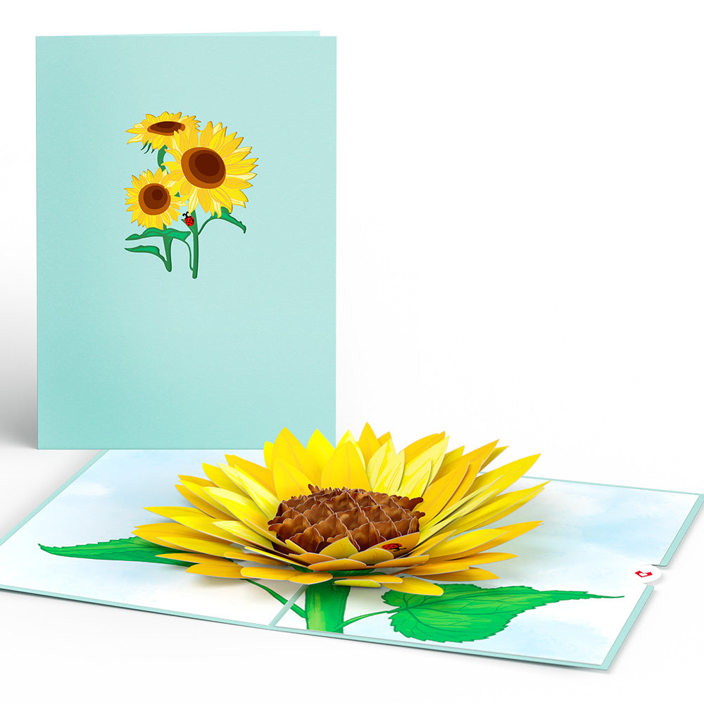 Sunflower Bloom Pop-Up Card、mySite、solidvoid