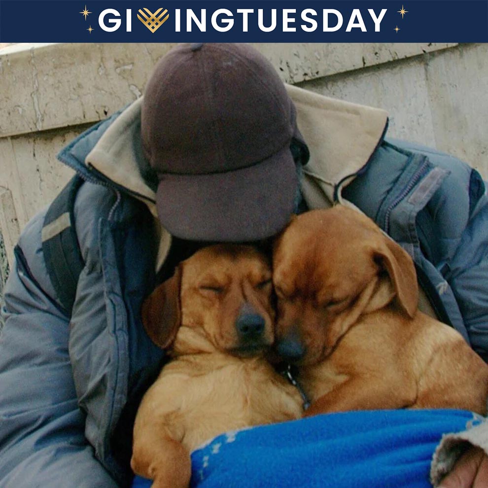 GivingTuesday: Send Good Packs to Homeless Americans and their Pets、mySite、camillekostekn