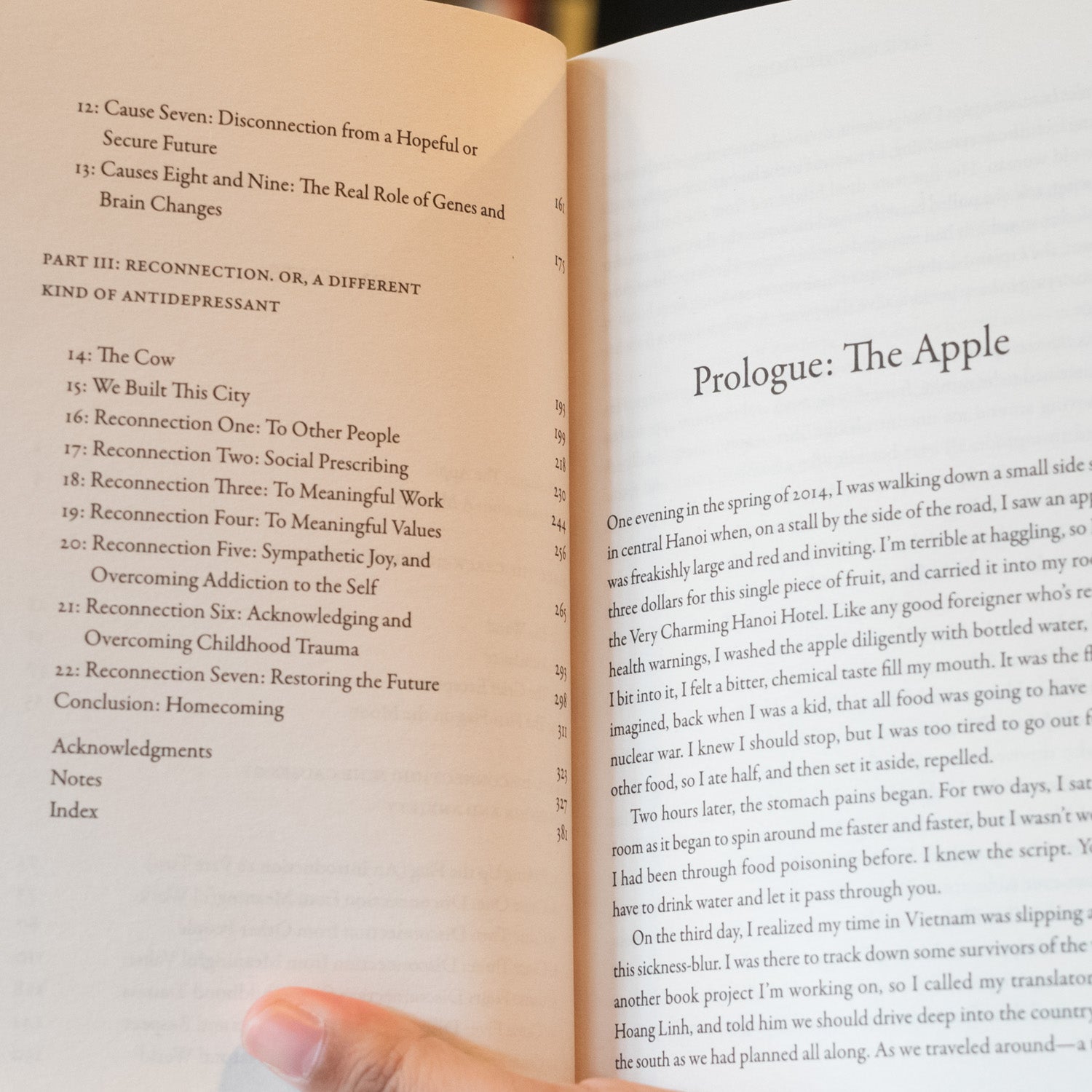 Lost Connections: Why You're Depressed and How to Find Hope、mySite、topwebapps