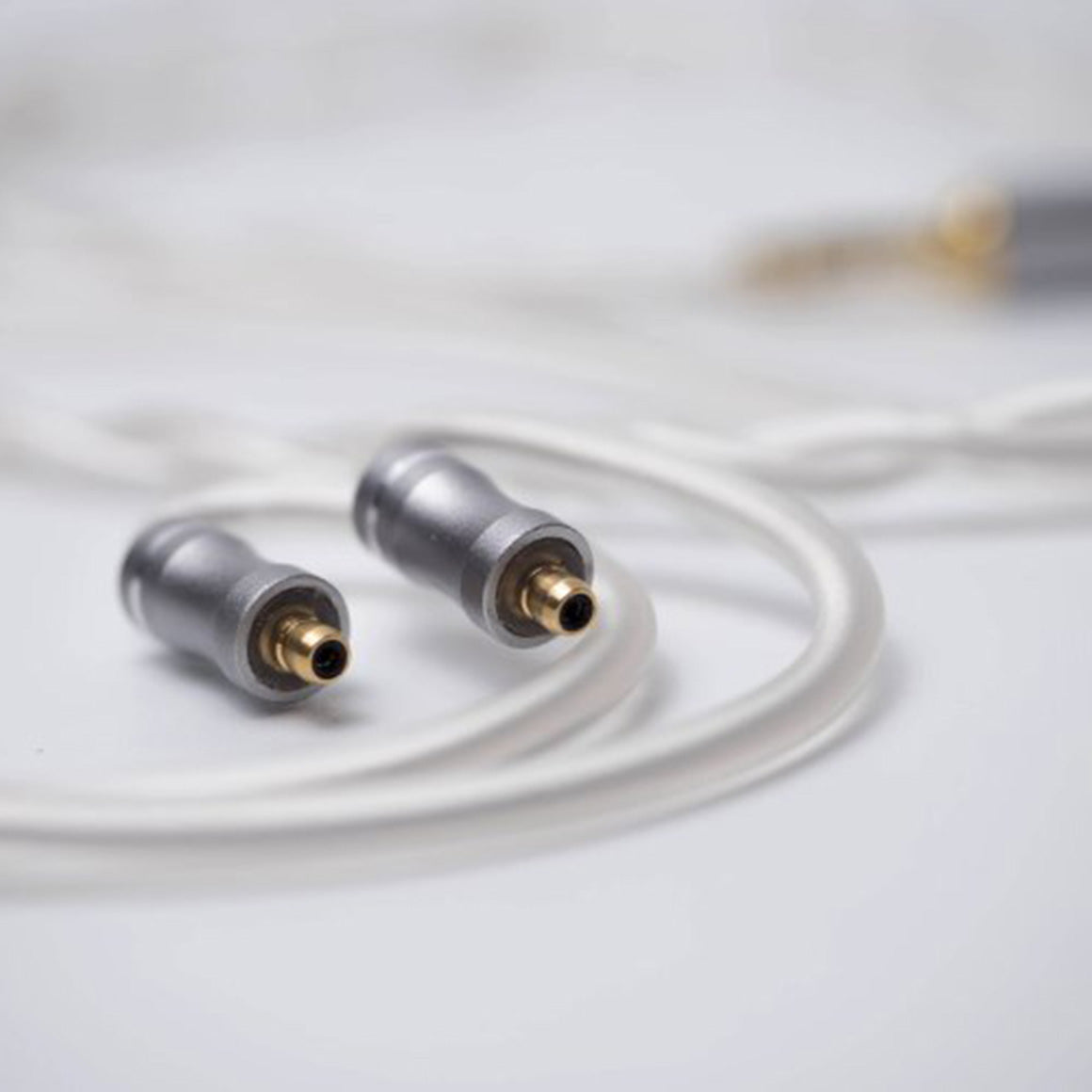  Elysian Acoustic Labs - PILGRIM、mySite、merchandisen