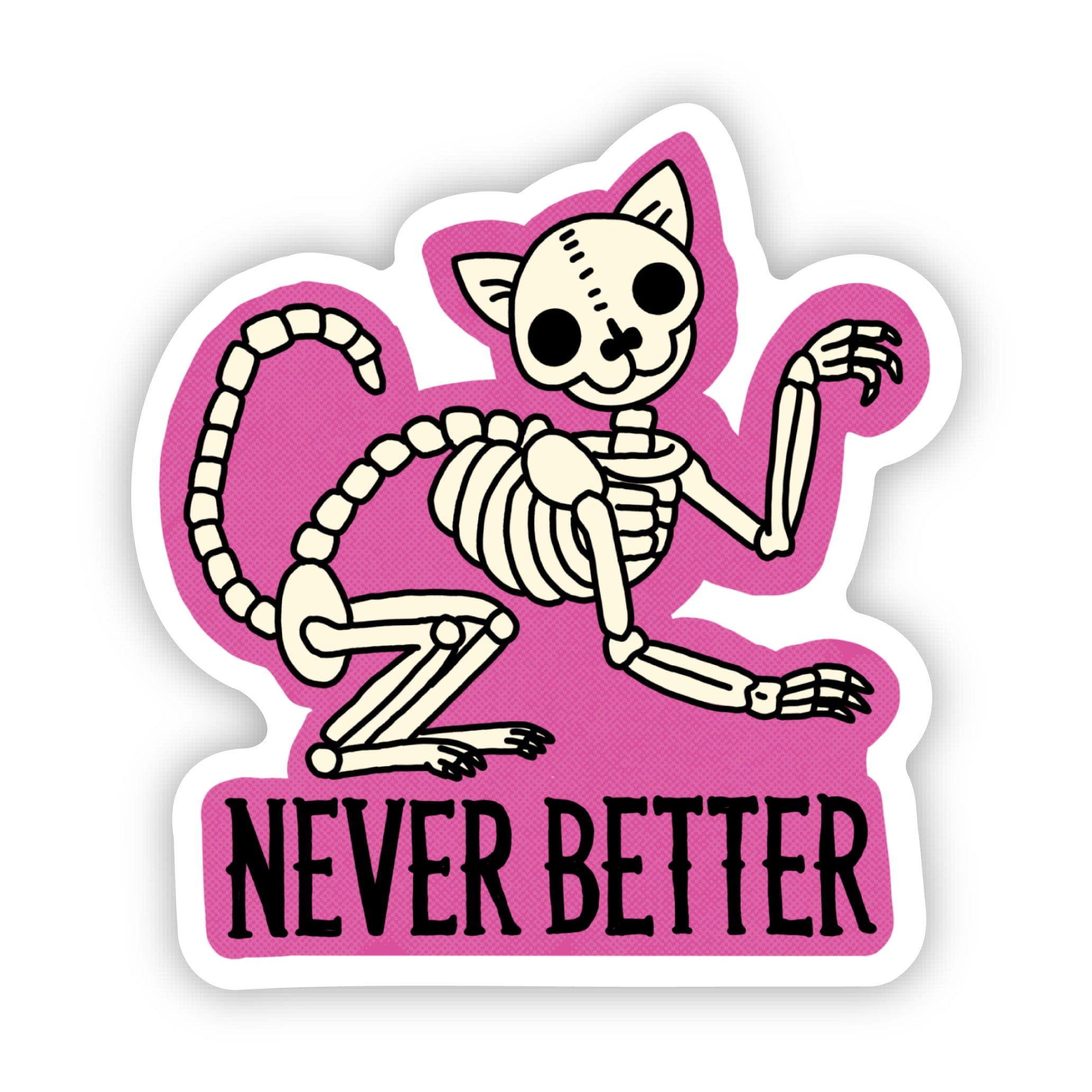  Never better Sarcastic Skeleton Cat Sticker、mySite、ghnorth