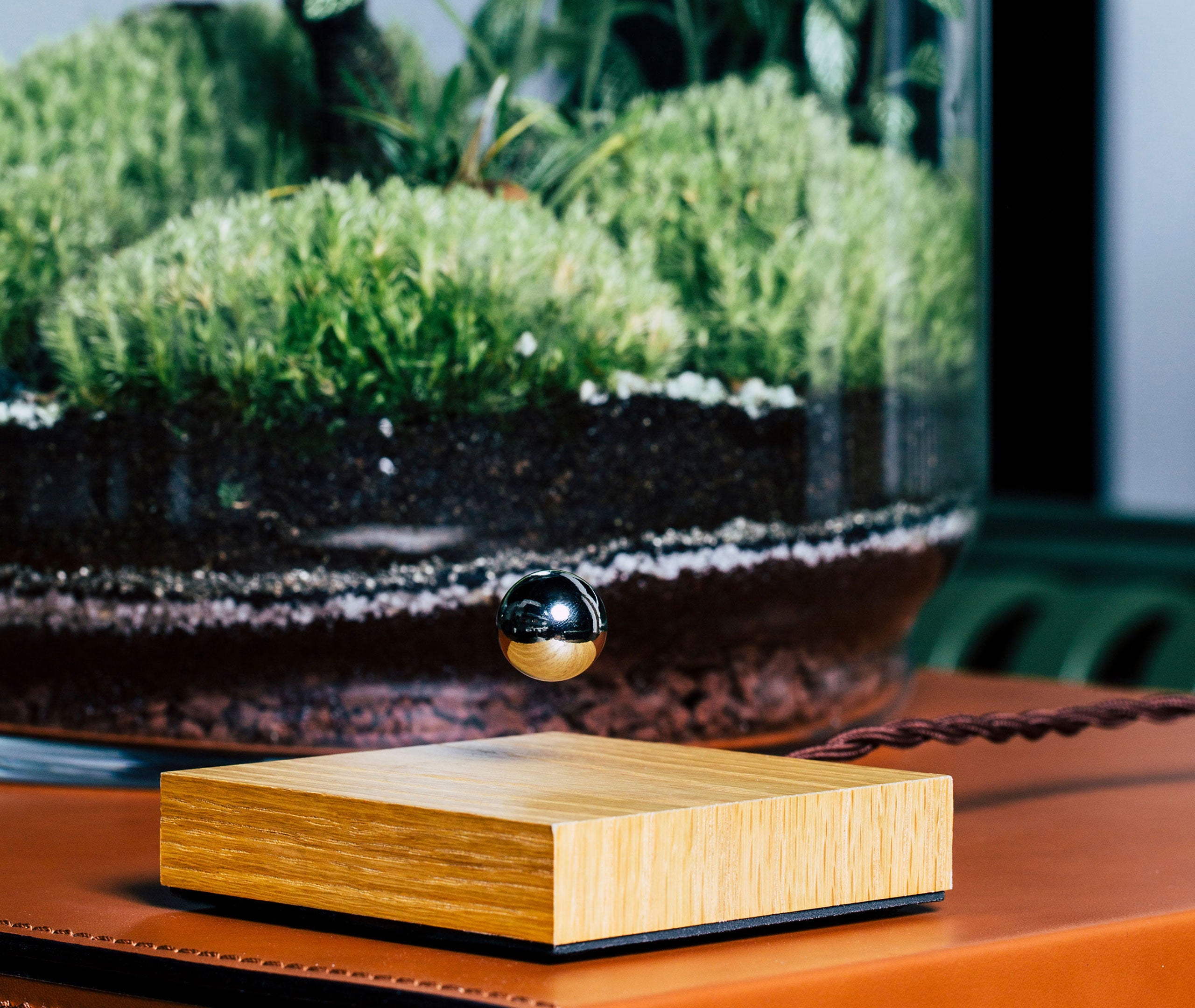 Buda Ball - Oak、mySite、topwebapps