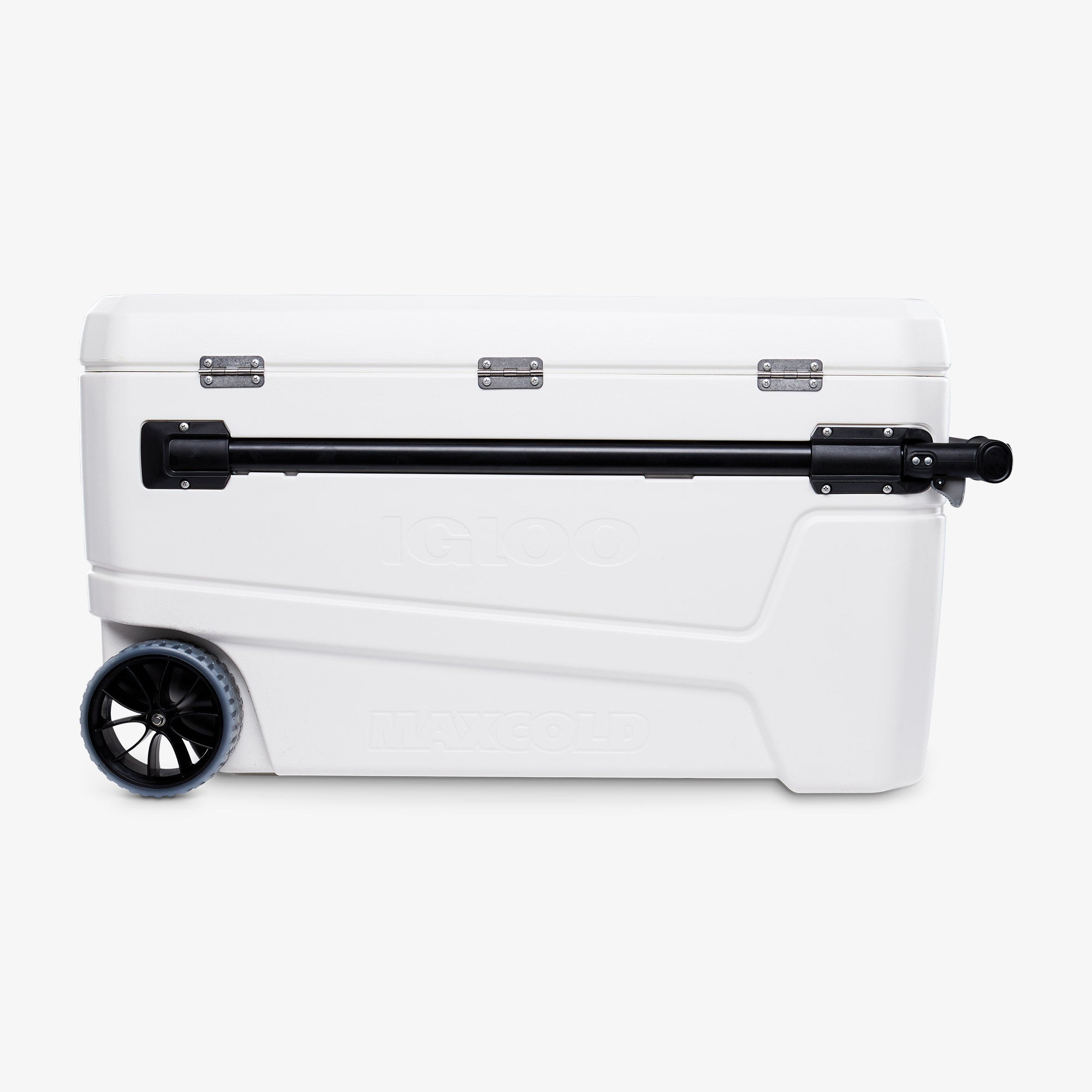 Sunset Glide 110 Qt Cooler、mySite、noshort