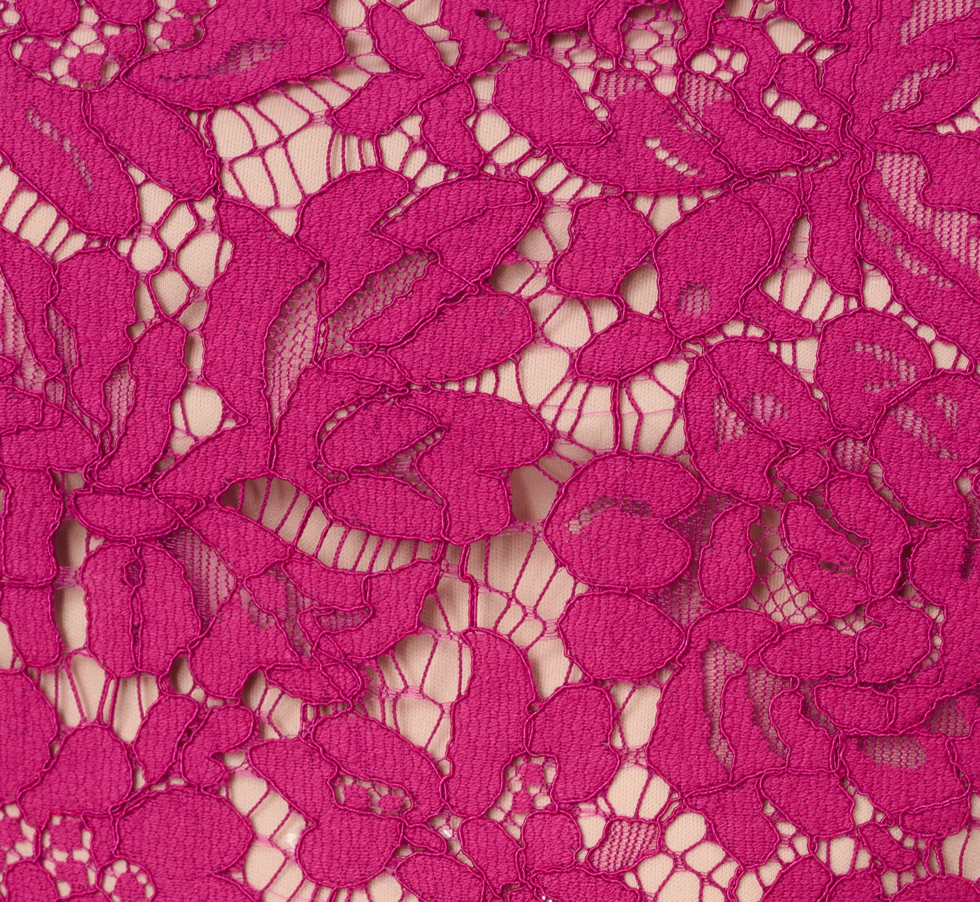 Sleeveless Lace Fit And Flare Dress With Sheer Details In Orchid、mySite、solidvoid