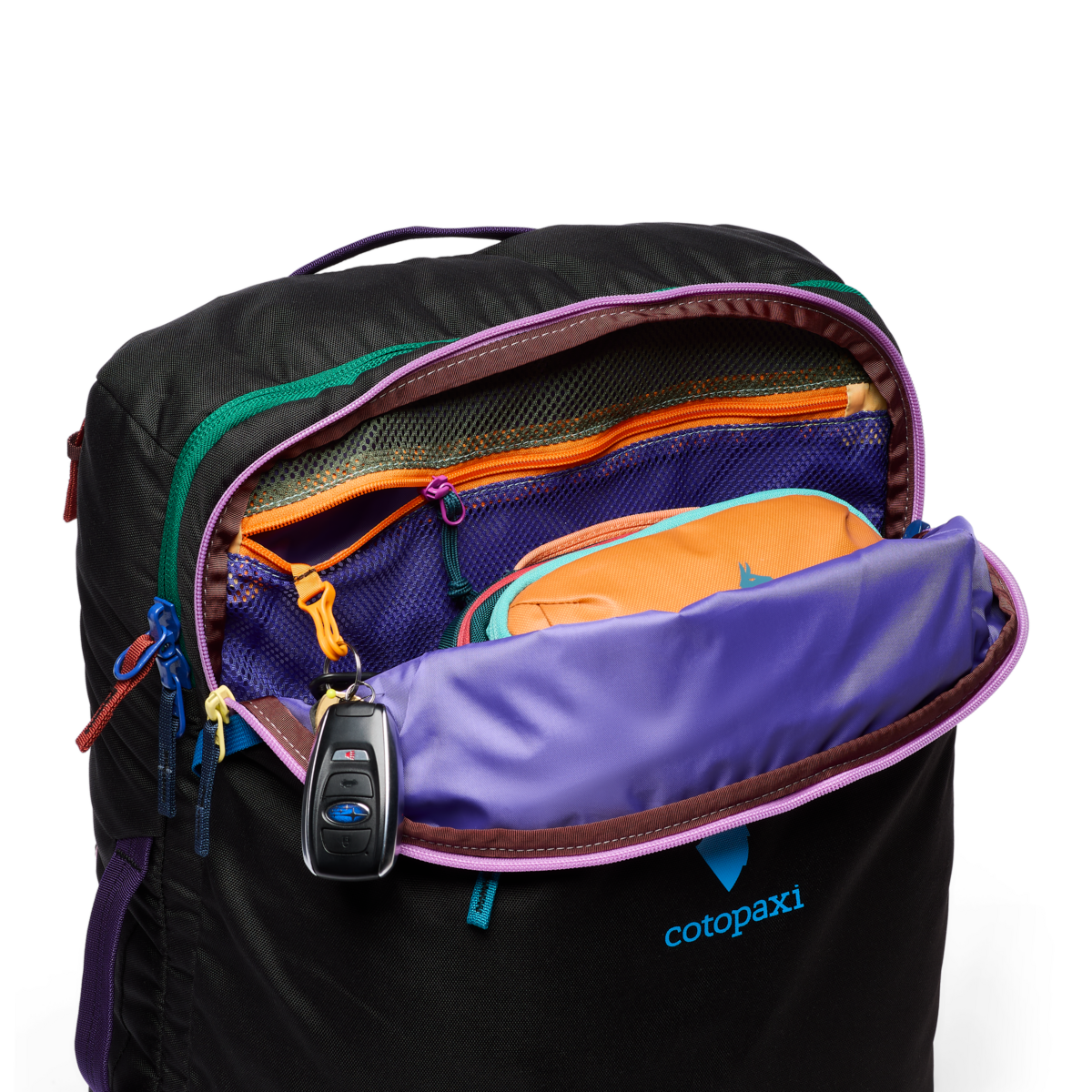 Allpa 42L Travel Pack - Del Día Dark、mySite、shAllpa 42L Travel Pack - Del Día Dark、mySite、glenpowelloop_name