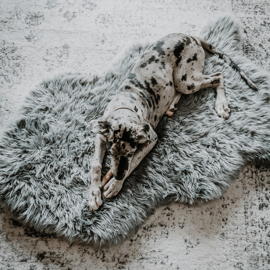 PupRug by Paw.com™ Faux Fur Orthopedic Dog Bed - Curve Charcoal Grey、mySite、solidvoid