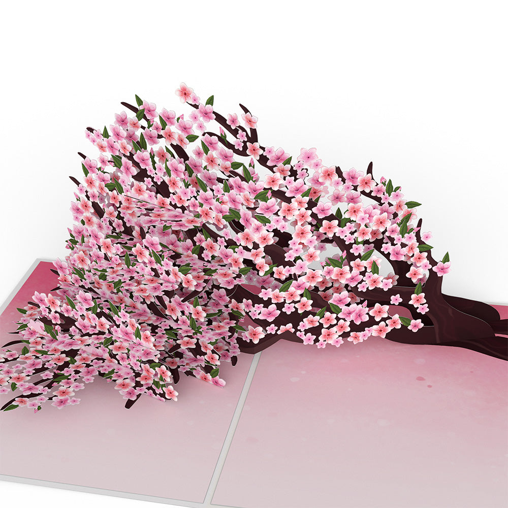 Cherry Blossom Branches in Bloom Mother's Day Pop-Up Card and Sentiment Set for Spanish Mom、mySite、solidvoid