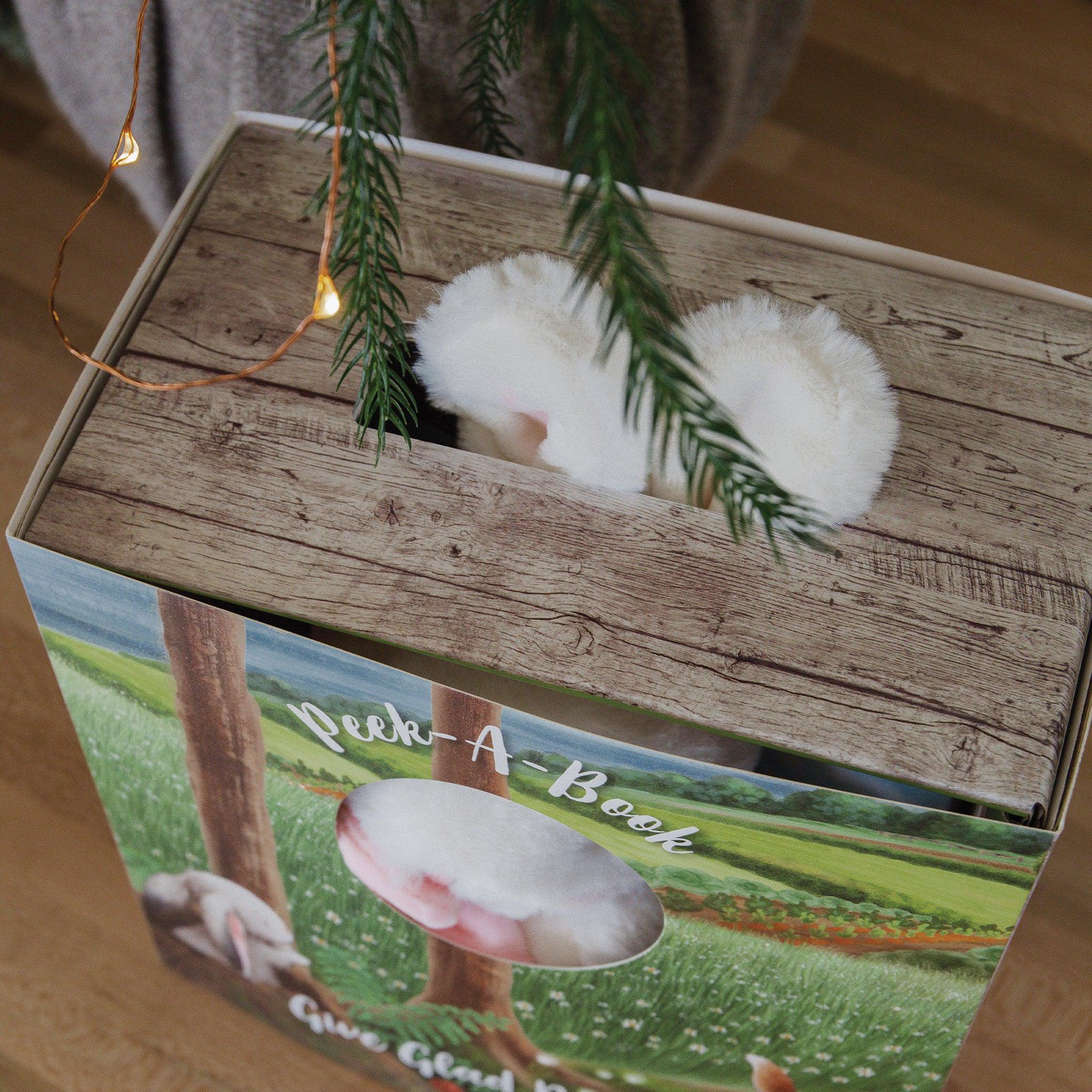 RETIRED - Hide and Seek Blossom Book and Plush Boxed Set、mySite、g9winljtr