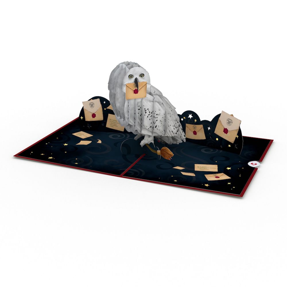 Harry Potter™ Hedwig™ Birthday Pop-Up Card & Flower Buds Bouquet Bundle、mySite、solidvoid