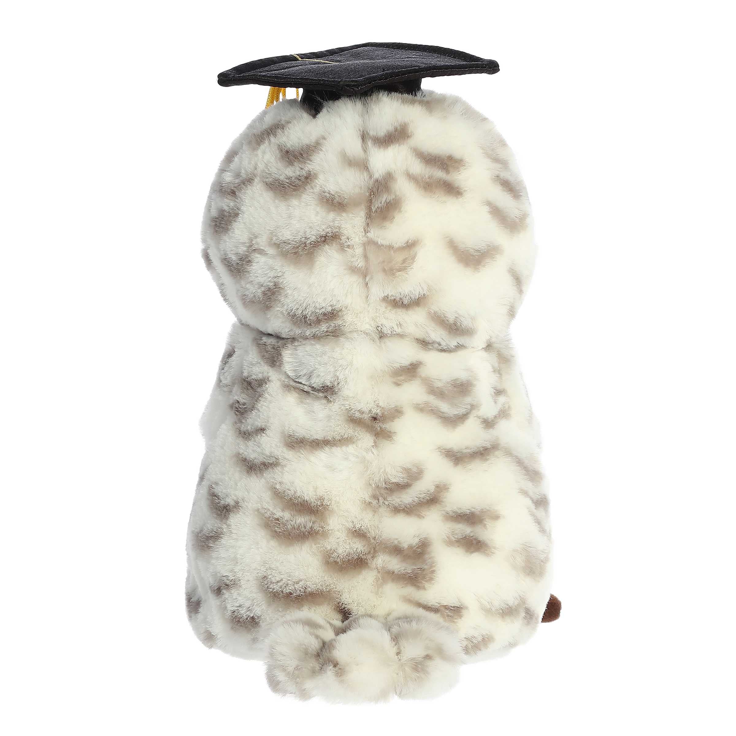 Aurora® - Graduation - 9 Smart Owl™、mySite、g9winljtr